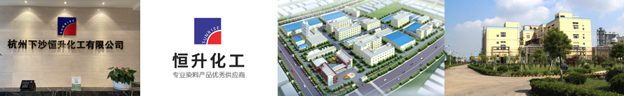 杭州下沙usdt官网入口化工有限公司
